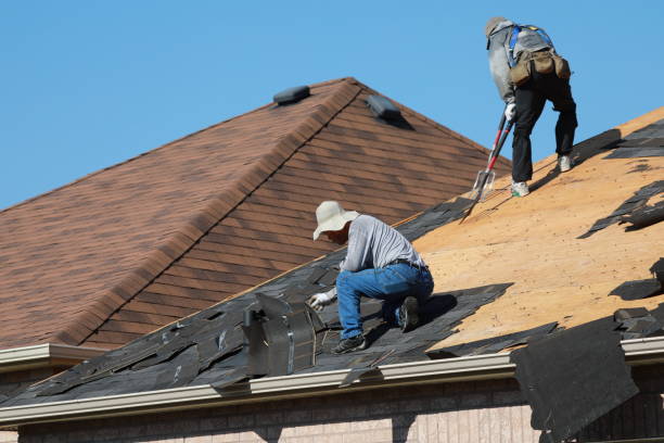 Best Roof Maintenance and Cleaning  in Waterville, MN